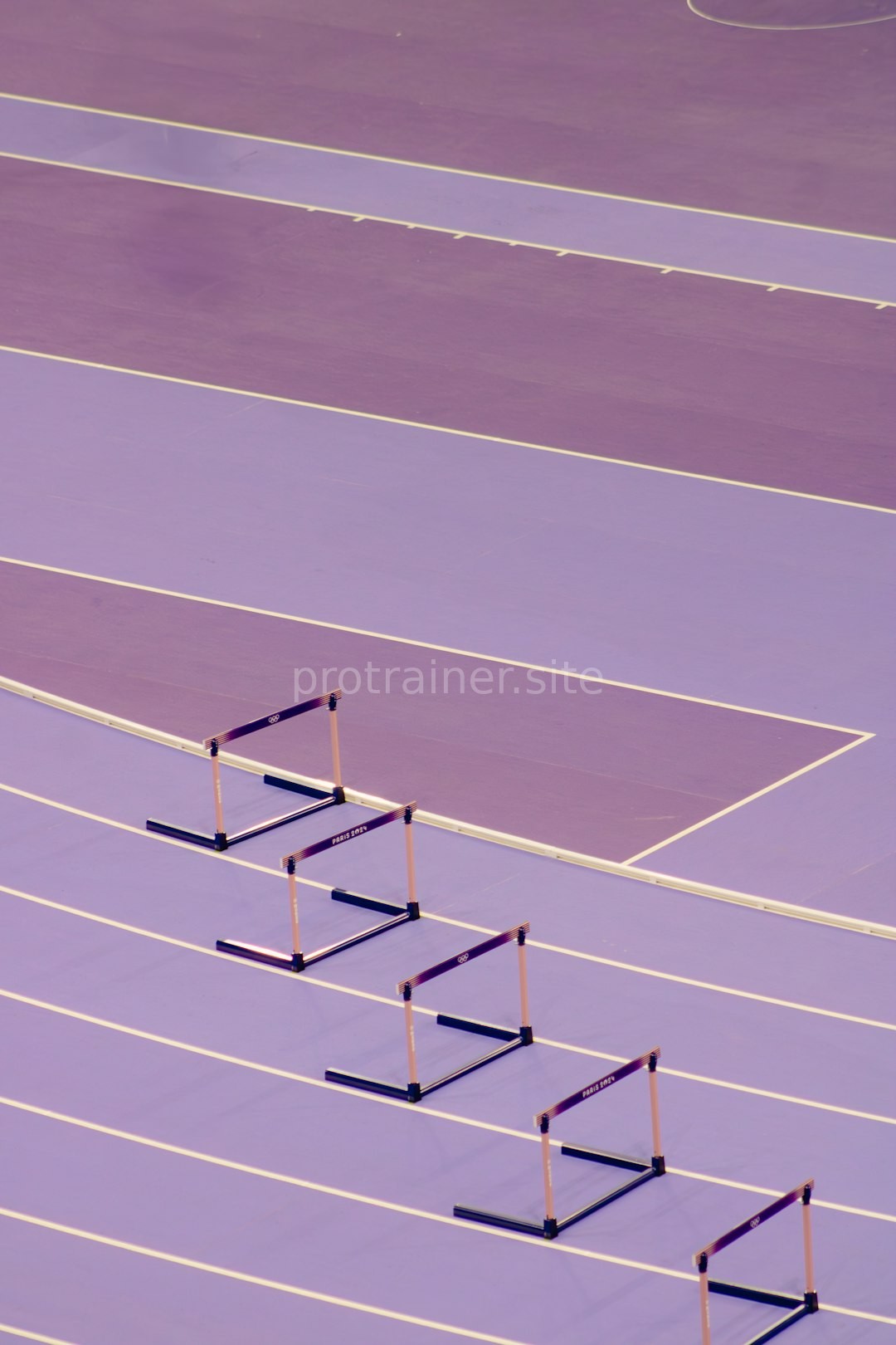 Athlete Training